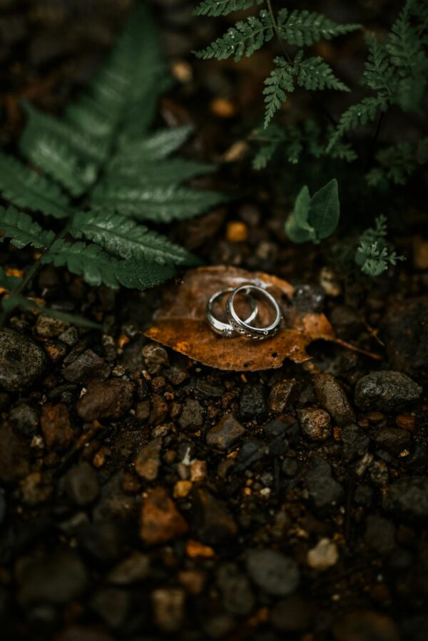 Sun-Kissed Rings - imagine 2